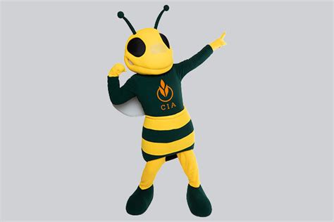 Mascot for the cia school